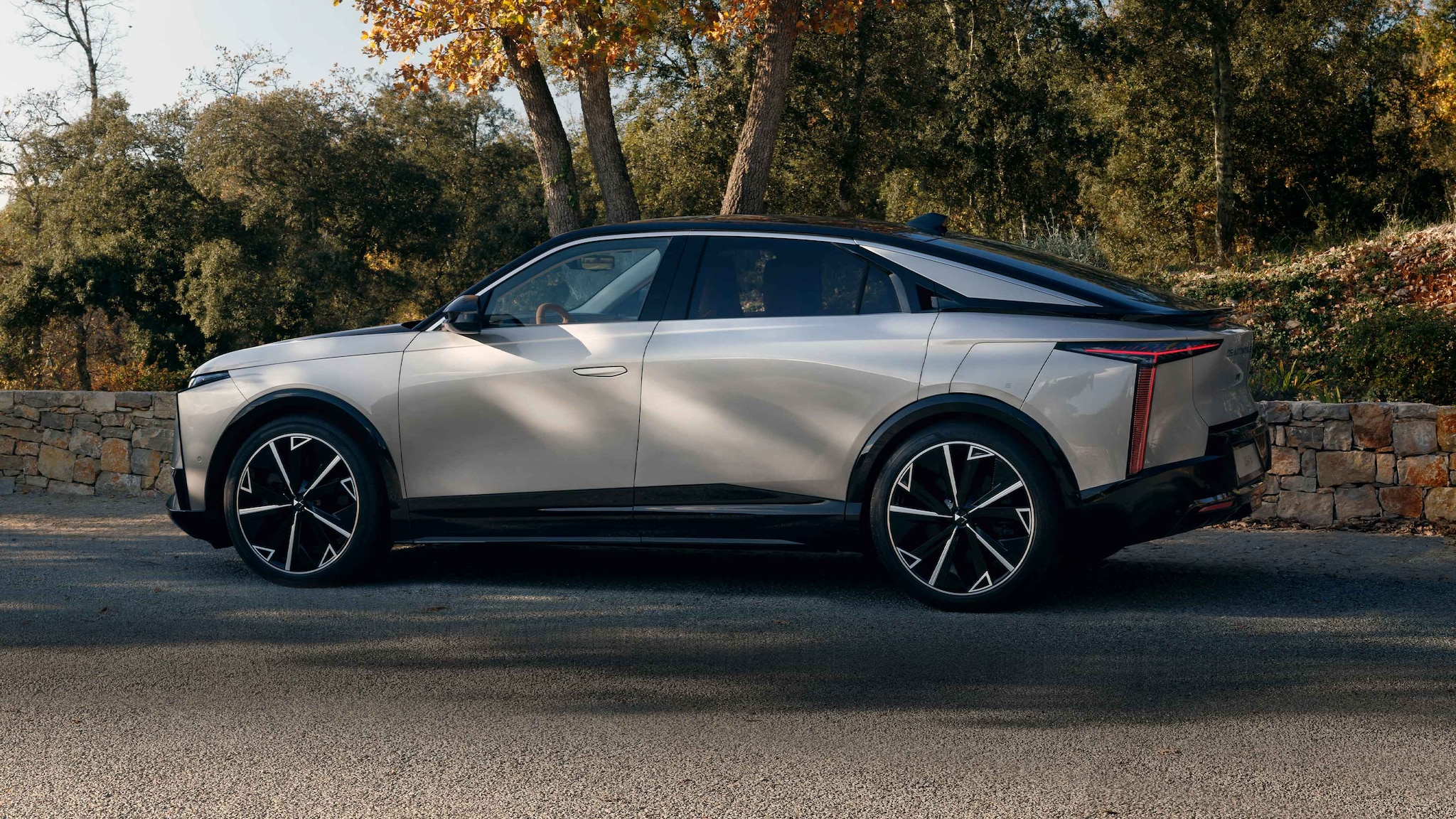 DS 9 E-TENSE 250 RIVOLI + (PRO) - DS Automobiles Levallois-Perret - NEUBAUER
